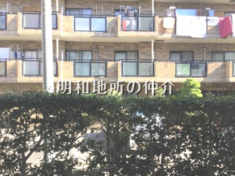 前回募集時写真