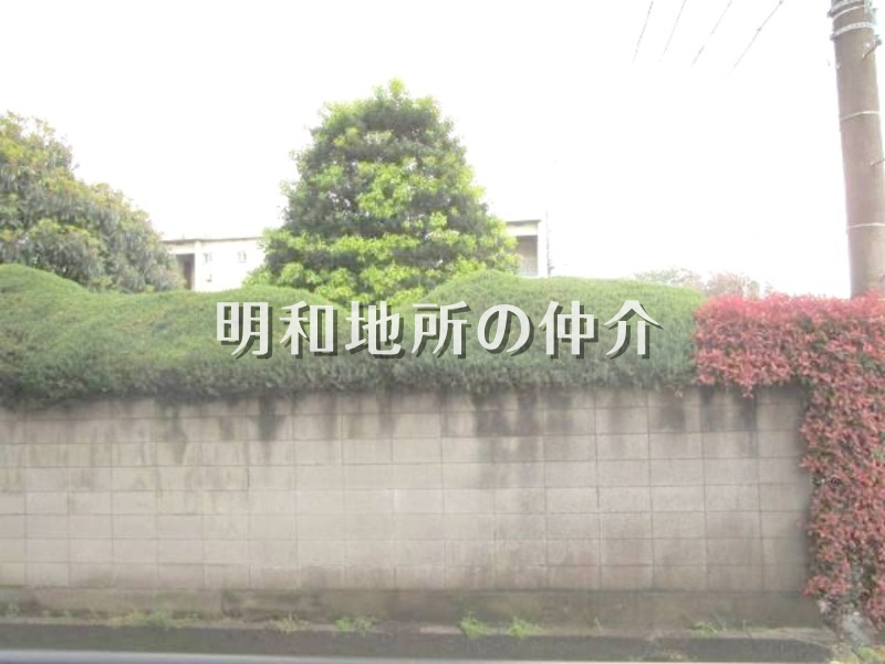 前回募集時写真