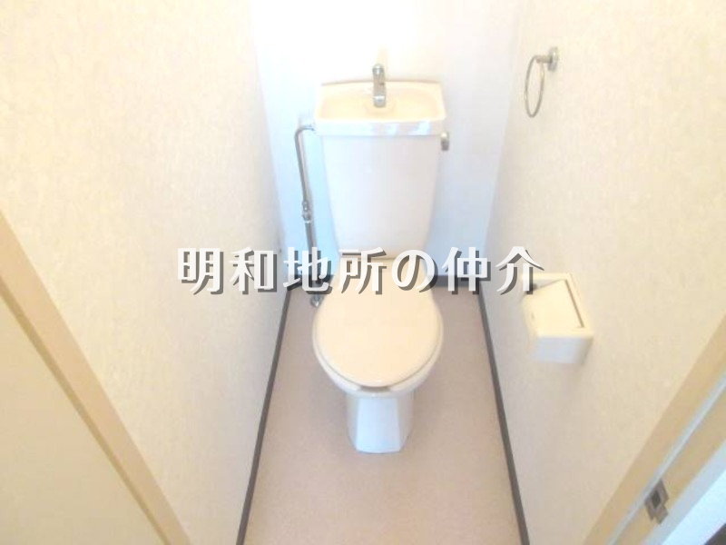 前回募集時写真