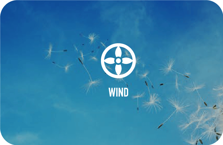 WIND