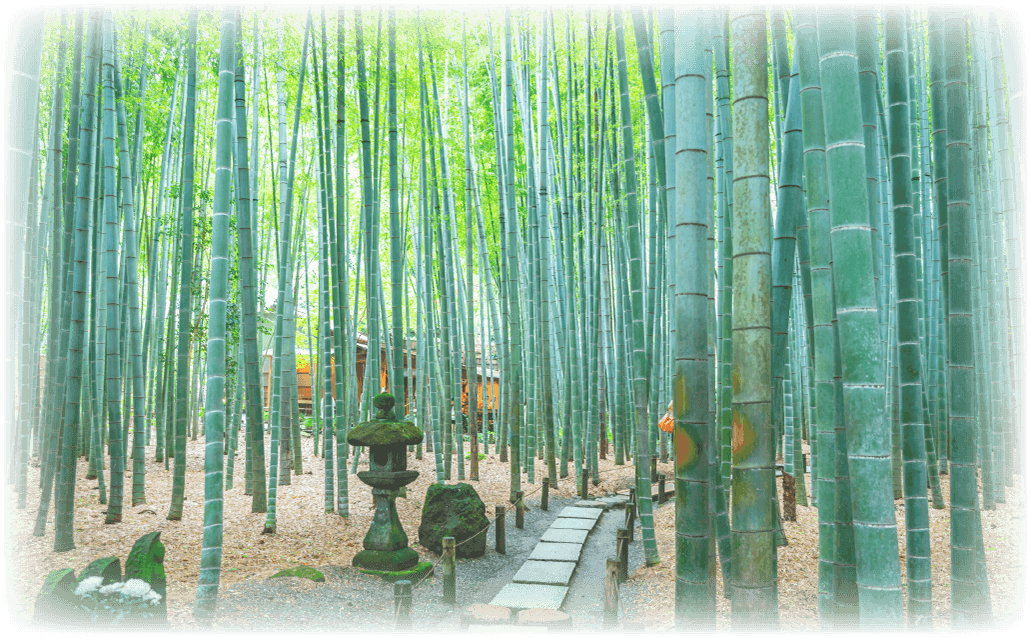 KAMAKURA area