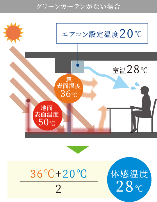 グリーンカーテンがない場合