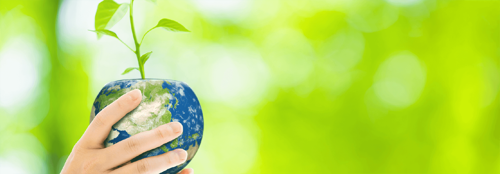 地球の未来にやさしい