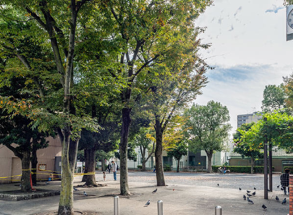 諏訪公園