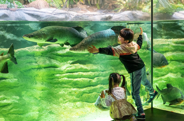 カワスイ 川崎水族館