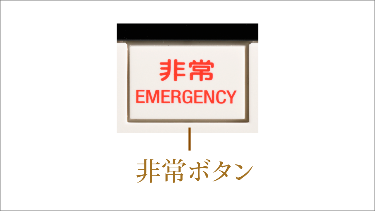 参考写真