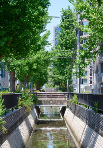 現地周辺イメージ