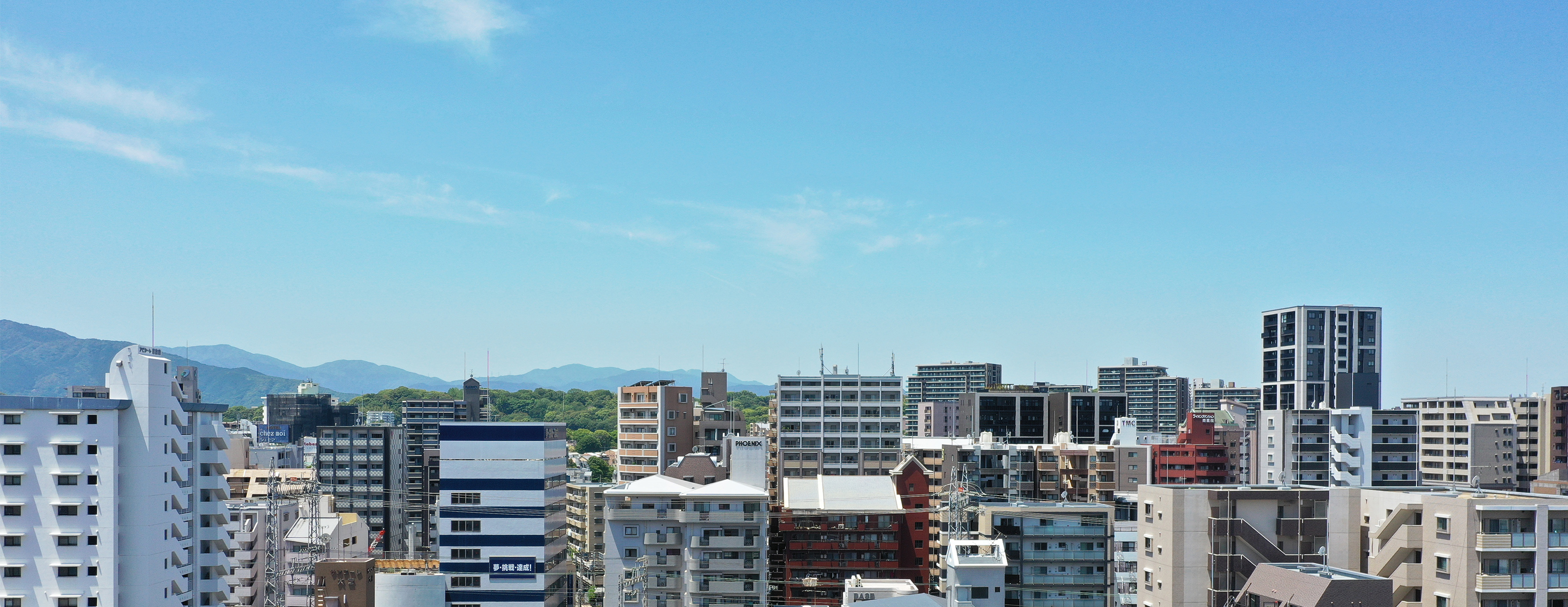 南西側眺望（現地12階相当）