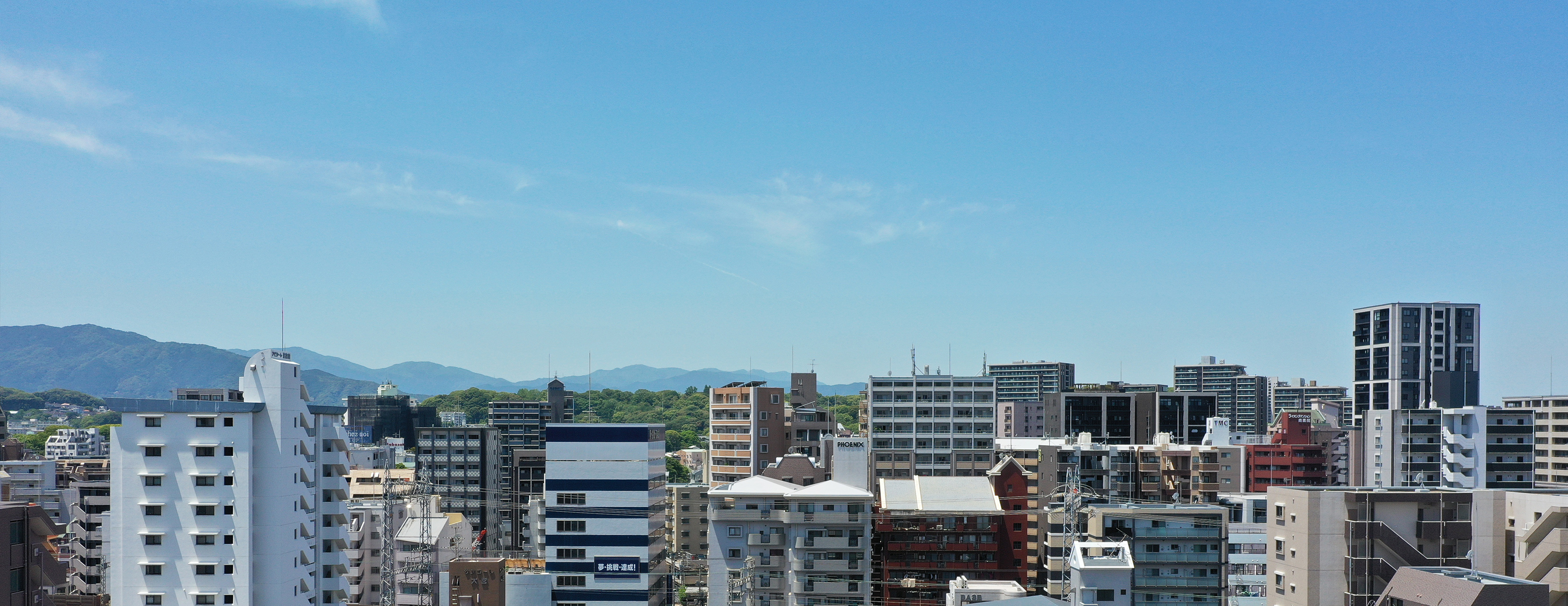 南西側眺望（現地12階相当）