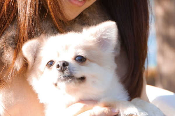 ペット飼育※とペット足洗い場