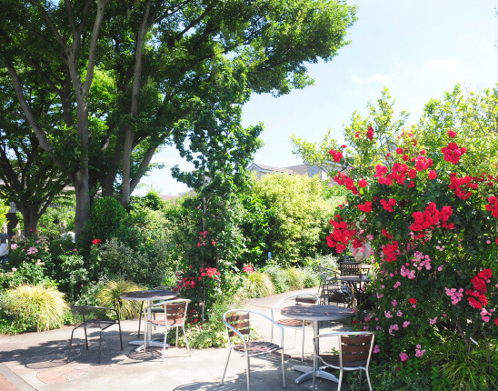 横浜イングリッシュガーデン