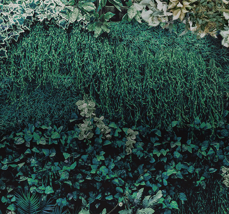 URBAN GREENERY 自然に憩い、都市に暮らす。