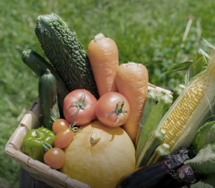 彩の国マルシェ