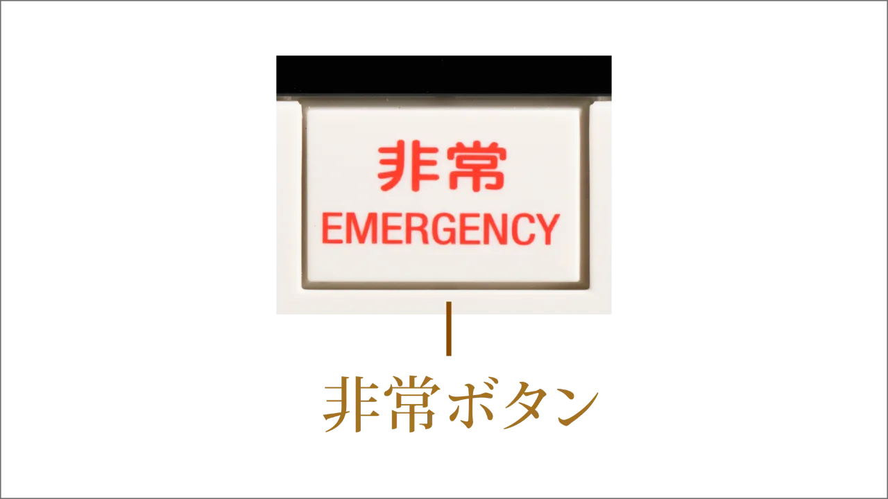 参考写真