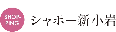 MAP A シャポー新小岩