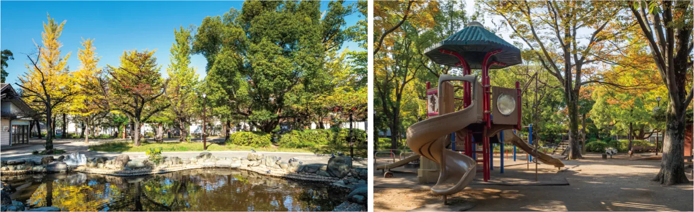 中央森林公園の遊具