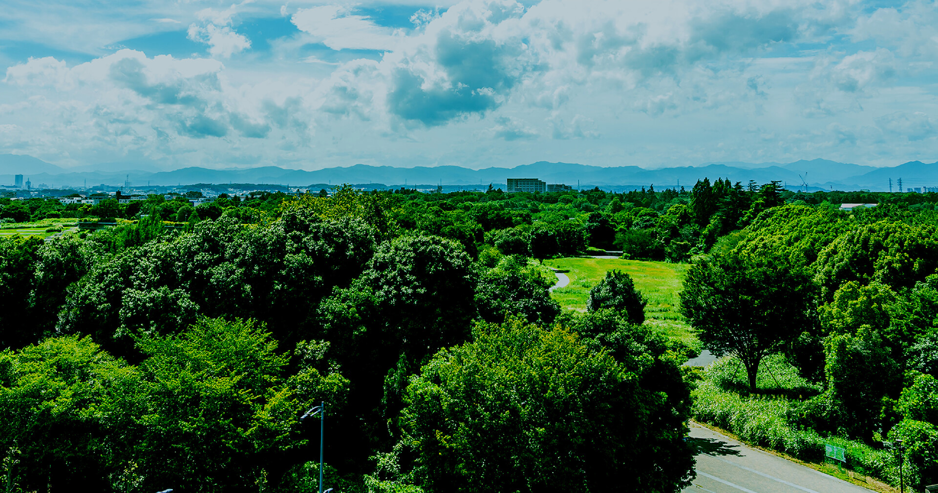 GREEN CITY RESIDENCE 深緑に包まれ、都市に寄り添う