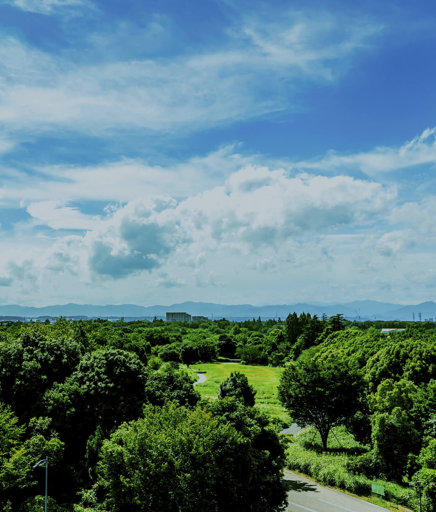 GREEN CITY RESIDENCE 深緑に包まれ、都市に寄り添う