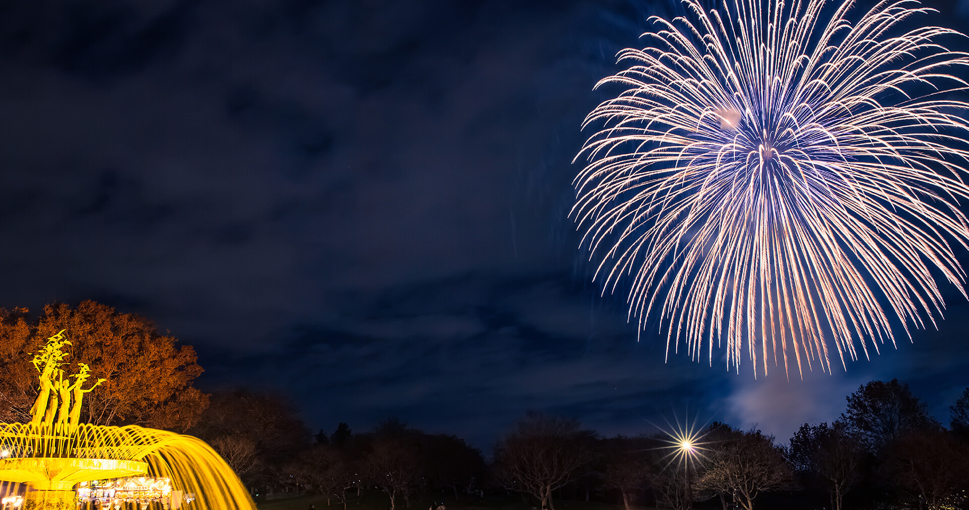 Seasons’ Flow 季節の移ろい