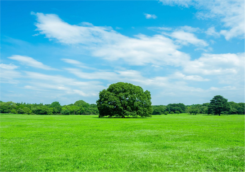 昭和記念公園提供