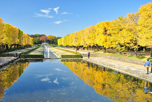 昭和記念公園提供