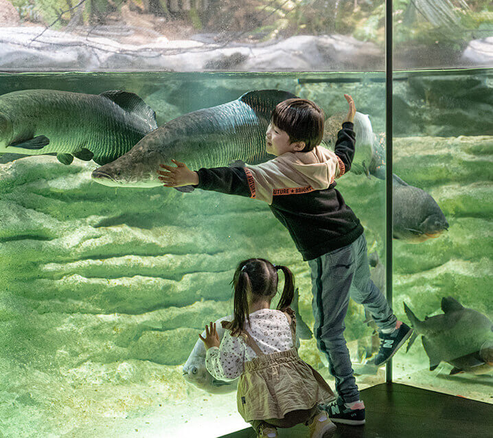 カワスイ 川崎水族館　(川崎ルフロン内9F・10F)