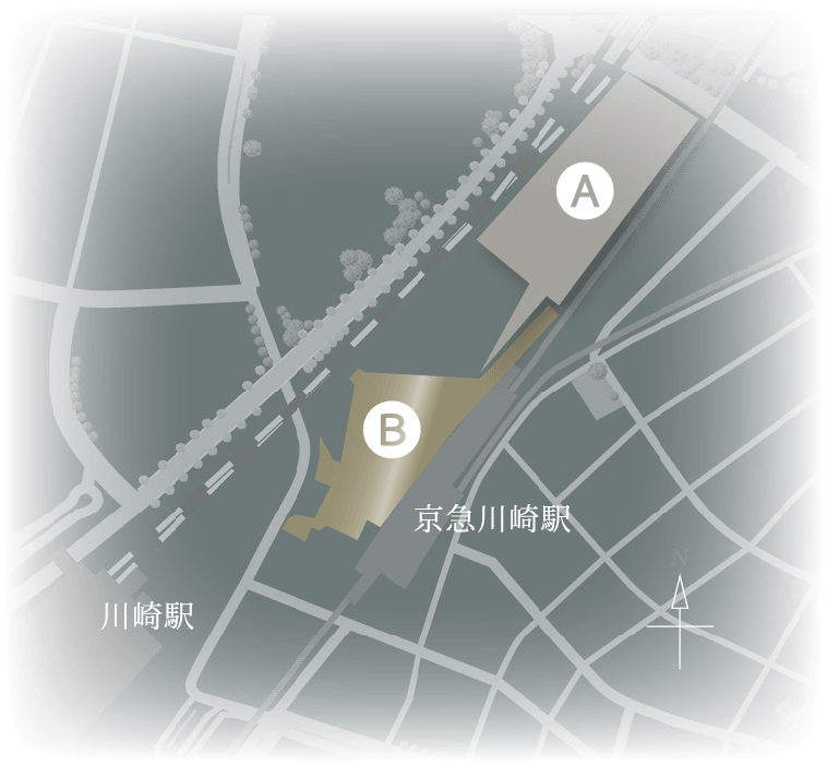 Redevelopment Project