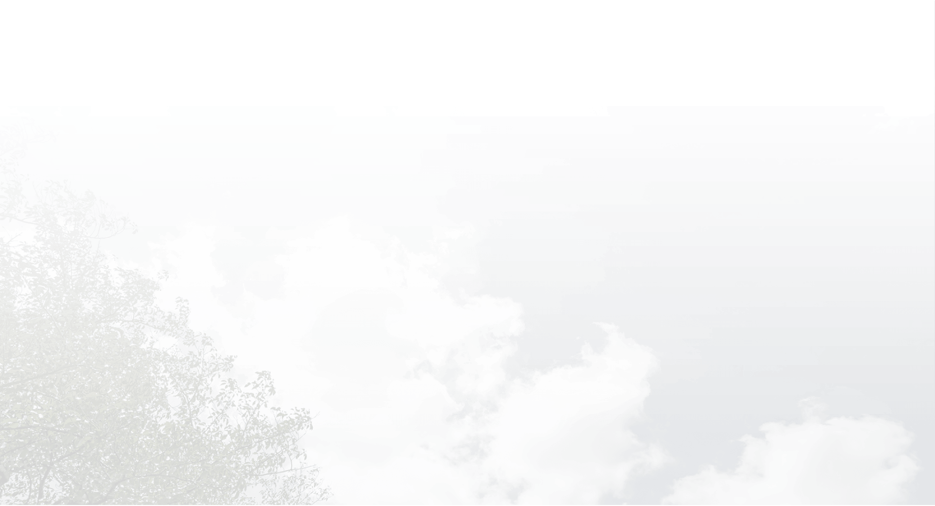 image photo