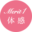 Merit1 体感