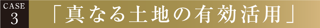 CASE 3 「真なる土地の有効活用」
